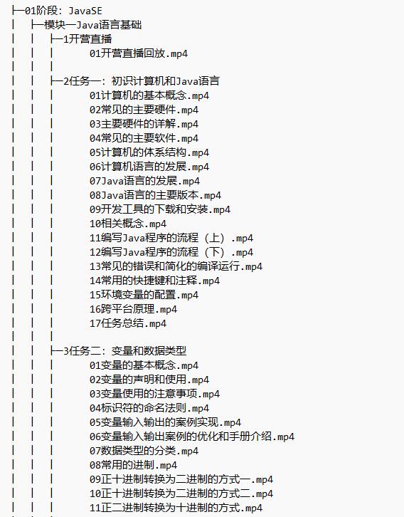 大數(shù)據(jù)開發(fā)高薪訓練營 視頻教程 下載  圖1